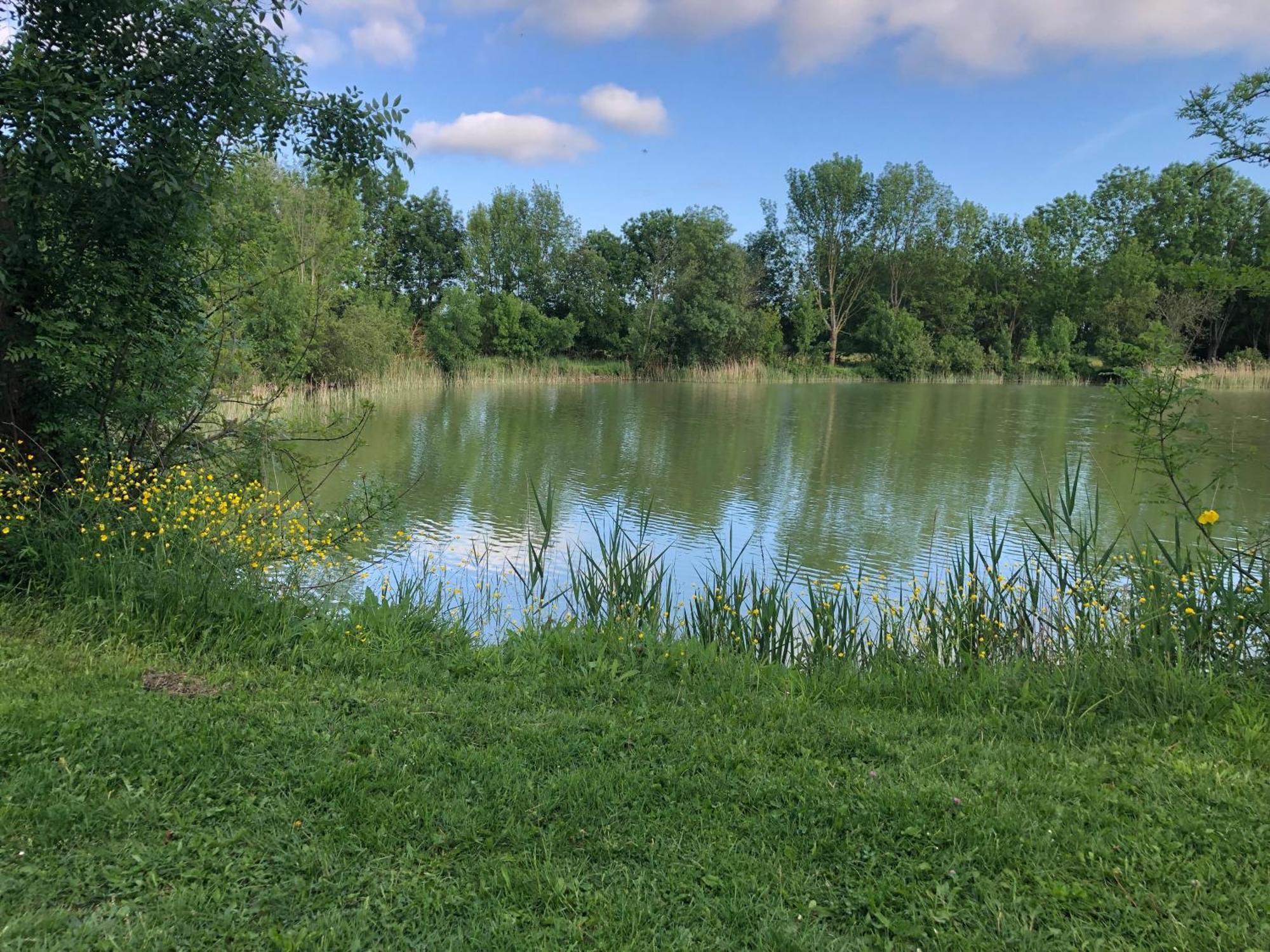 Le Logis De Vallans Kültér fotó